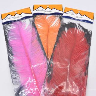 Ostrich Feathers Tip Dyed